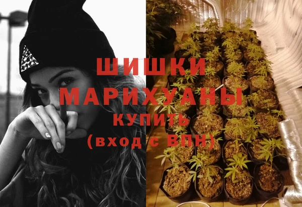 винт Горно-Алтайск