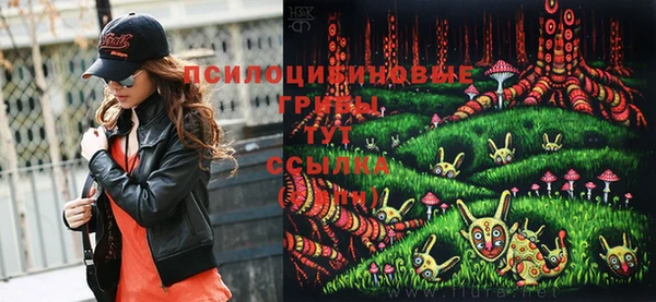 винт Горно-Алтайск