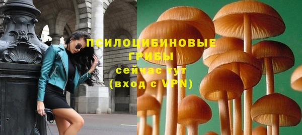 амф Горнозаводск