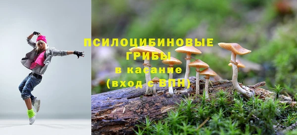 винт Горно-Алтайск